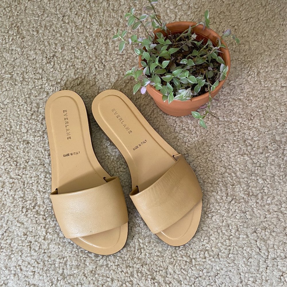 Everlane The Slide Sandal in Tan Size 6.5